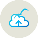 ico_releases_detail28